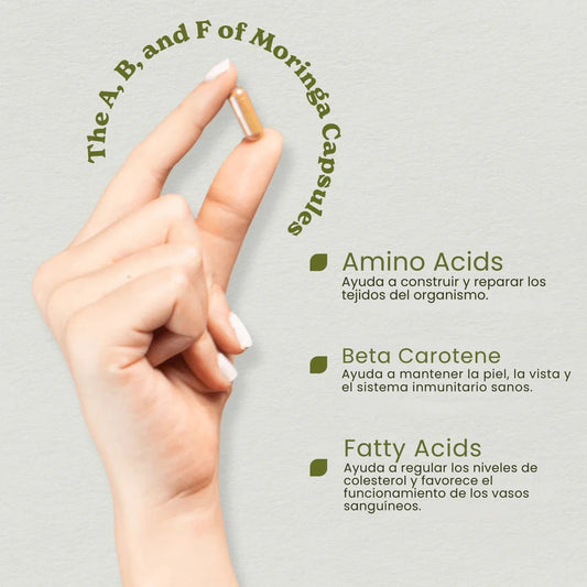 Capsulas De Moringa